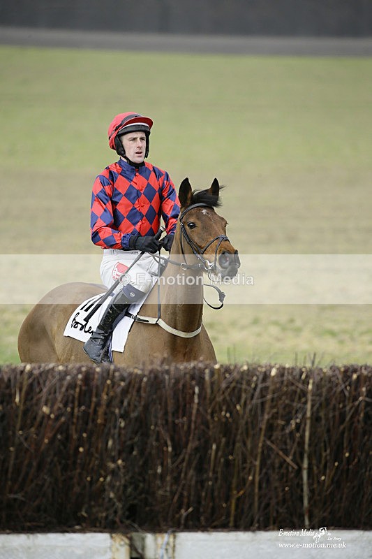 PtP 200222 281 - Countryside Alliance PtP Badbury Rings 20/02/22