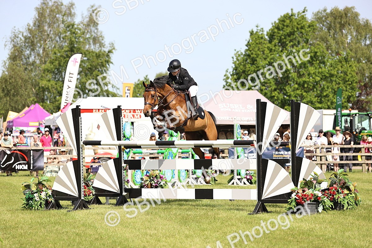 SBM_03091 - Class 201 - British Horse Feedds Speedi Beet HOYS Grade C