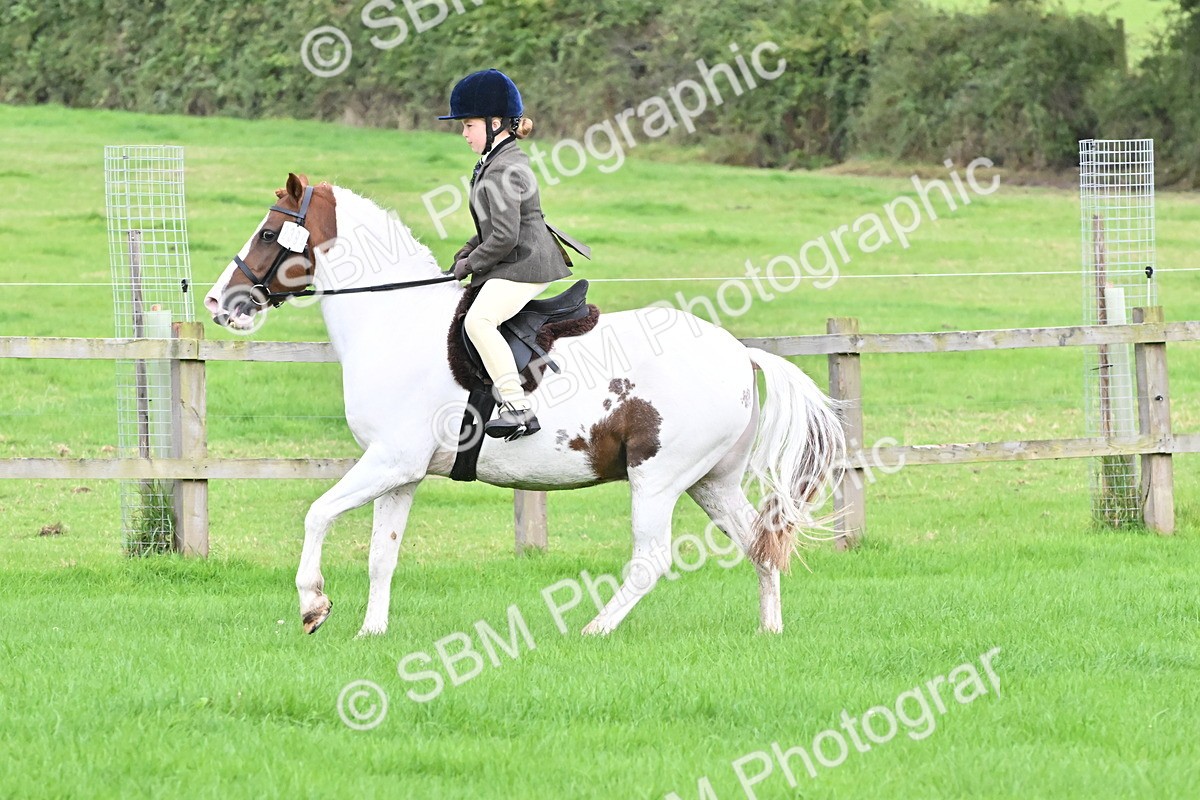 SBM_42903 - S12 - Family Horse & Pony