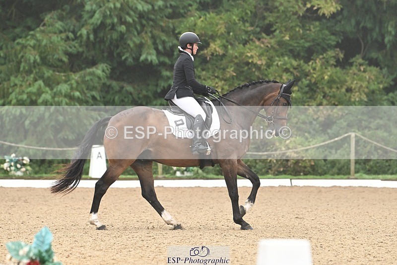 240811-094036-04830 - 119-Alice.Kneen-Dazzling.Springtime