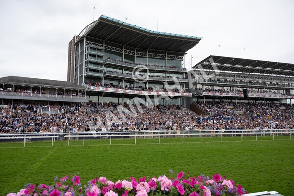 yr24072021r7-43 - Race 7 5.35pm The Sporting Life Fast Results Stakes