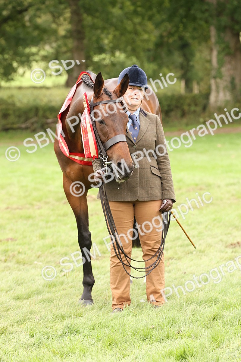 SBM_60873 - In Hand Horse Supreme Championship