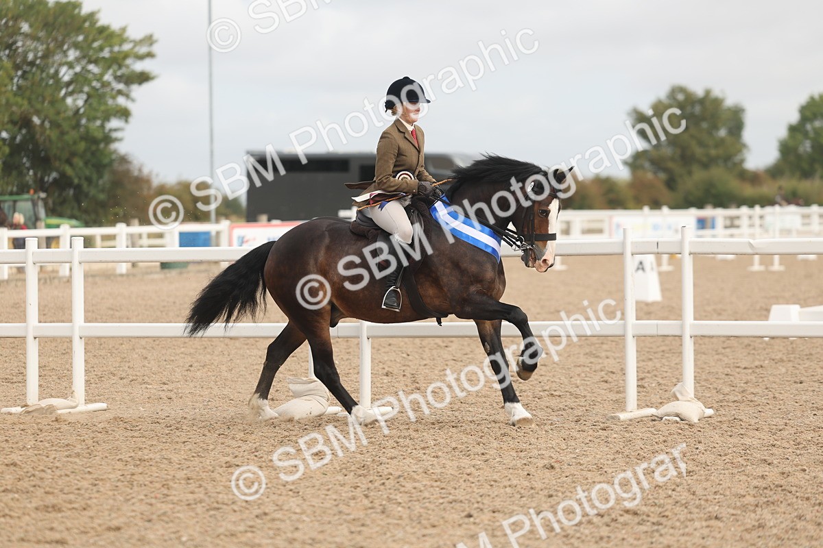 SBM_02034 - Class 14 - Ridden M&M Wildcard