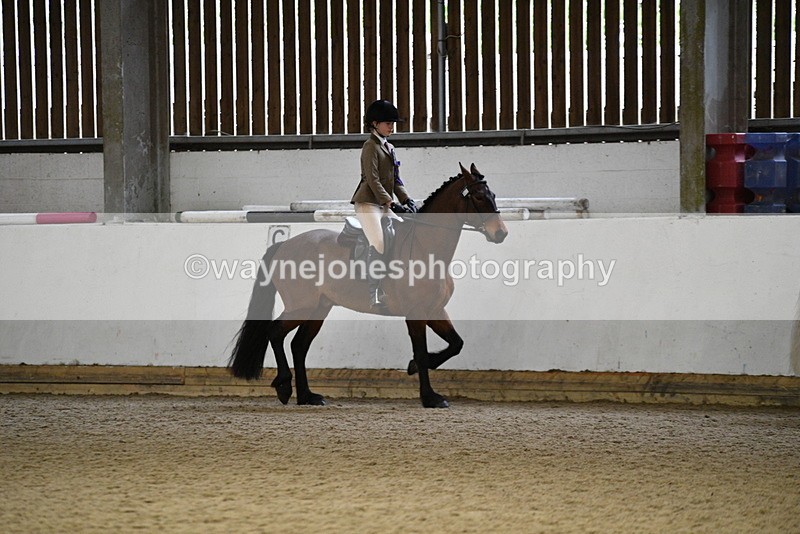 WJ5_7416 - Class 11 Ridden PC - RC Pony