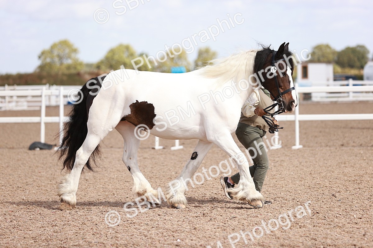 SBM_23004 - Class 707 - IH groom Helpers Class