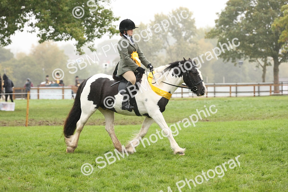 SBM_72894 - Ridden Horse Supreme Championship