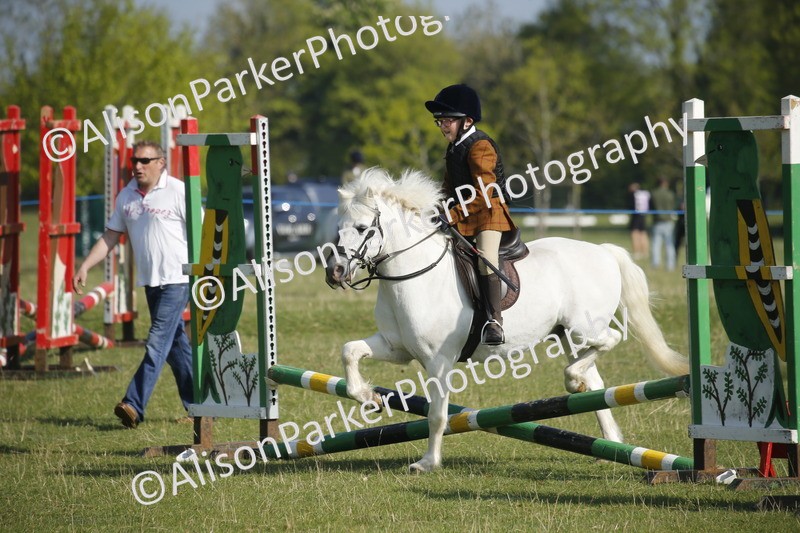 20250427-0300 - Class 12 - Rookie Jumping 40cm