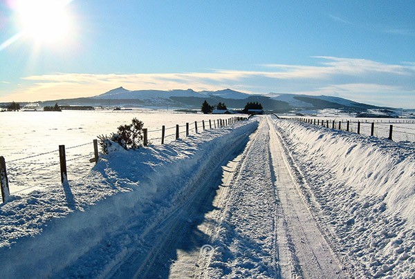  - BENNACHIE Paintings Photographs