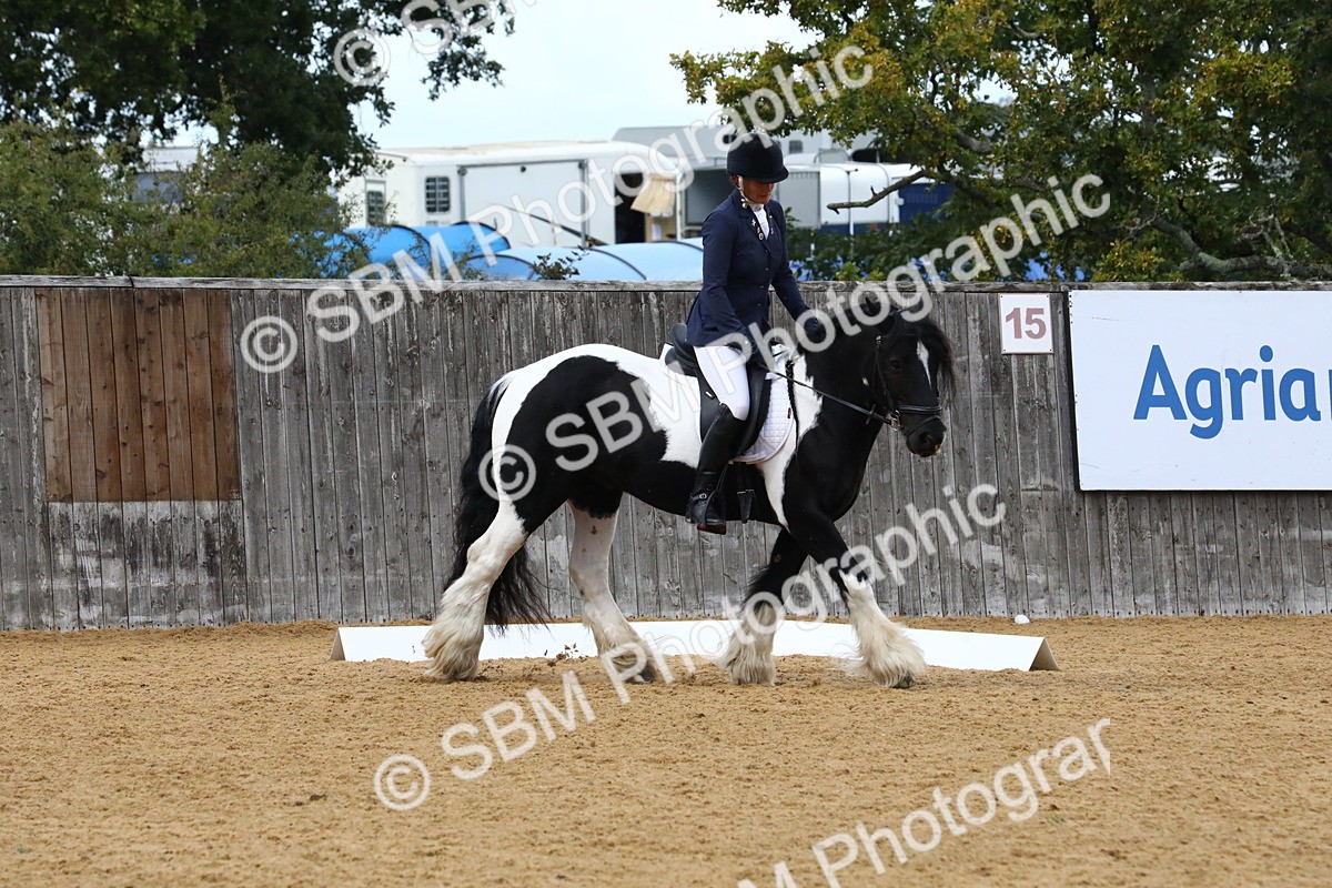 SBM_21017 - D5 - Small Tour Championshop Intro 2