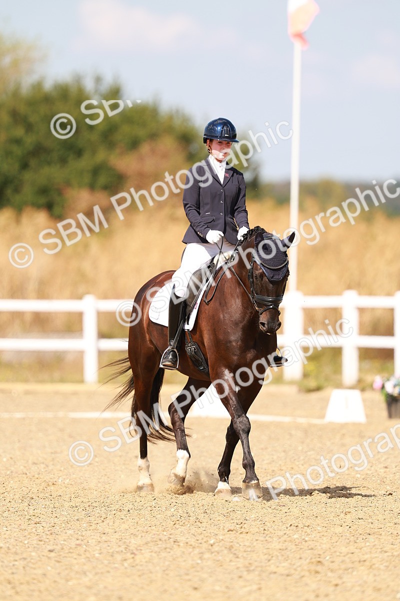 SBM_018356 - Class 9 - N5 Bronze 11.57.13.07