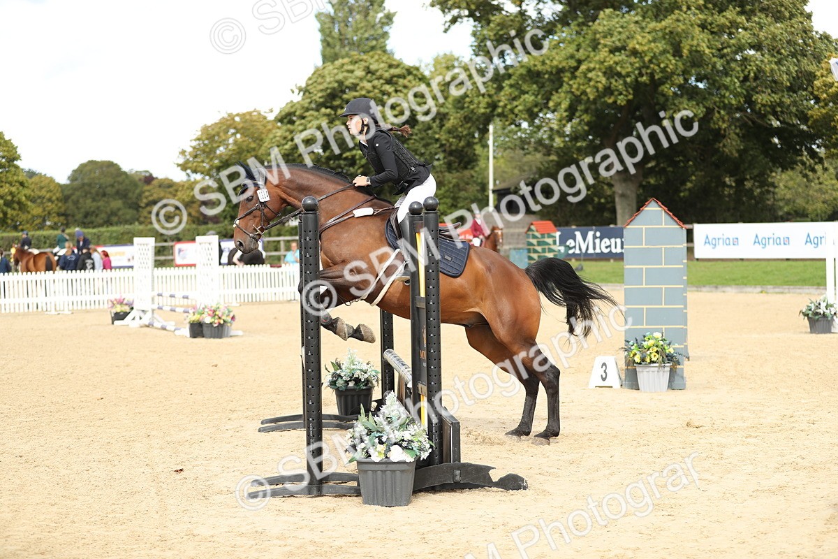SBM_08524 - J30 - Senior Horse & Pony 70cm Championship