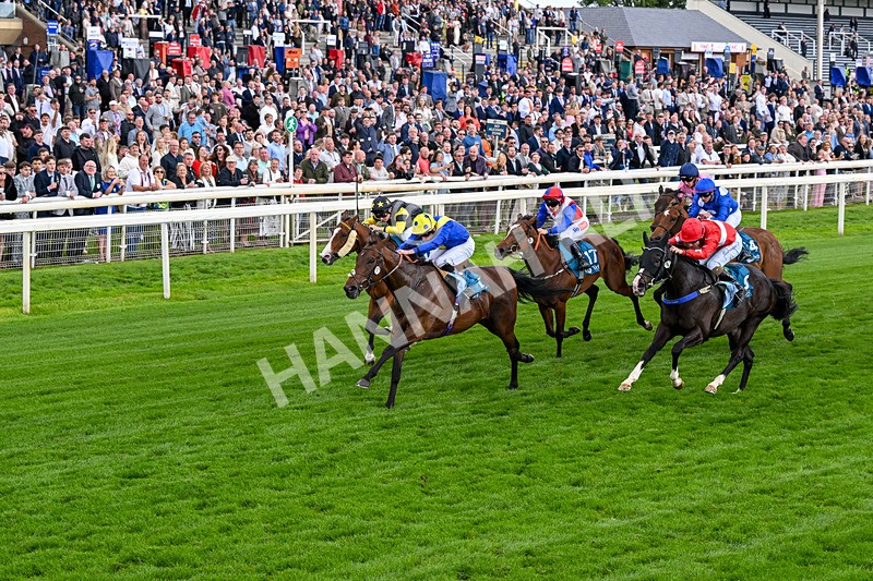 130626-Race 6-Point Of Contact-0637 - Race 6 16.50pm Ice Co Supporting Macmillan Handicap