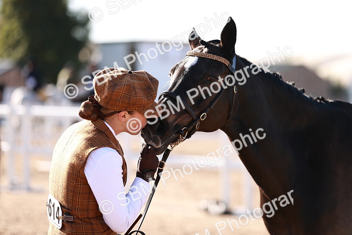 SBM_11426 - Class 402 - IH  Veteran pony