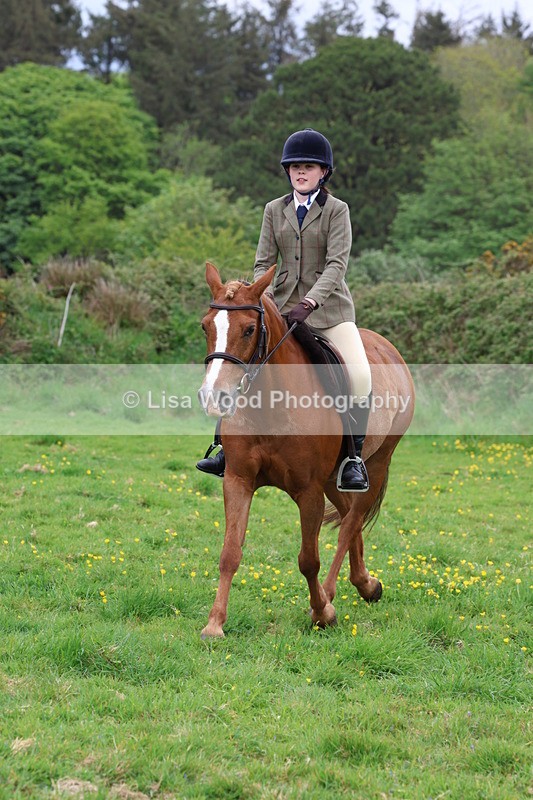 3E7A1774 - Class 9: Riding Club Horse/Pony