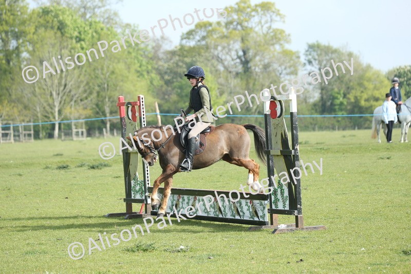 20260426-0036 - Class 13 - Rookie Jumping 50cm