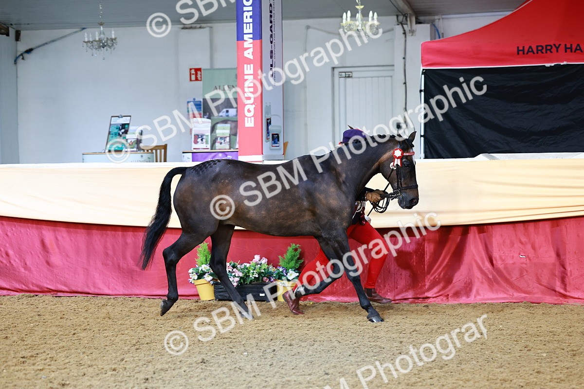 SBM_21953 - Class 901 - Supreme Final - IH  Diamond