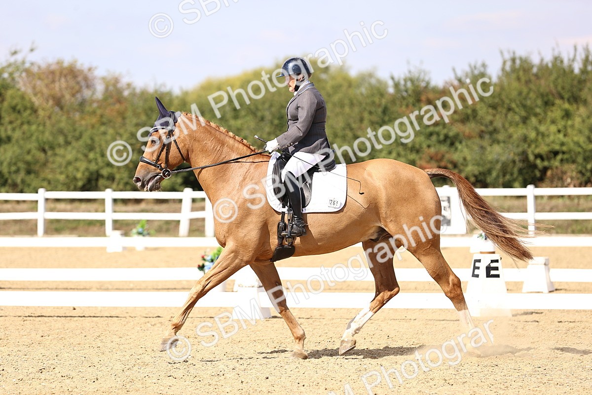 SBM_015079 - Class 6 - Elementary 5