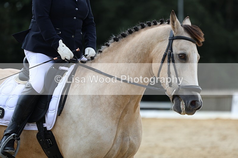 3E7A4322 - Class 10: Elementary 6 Championship