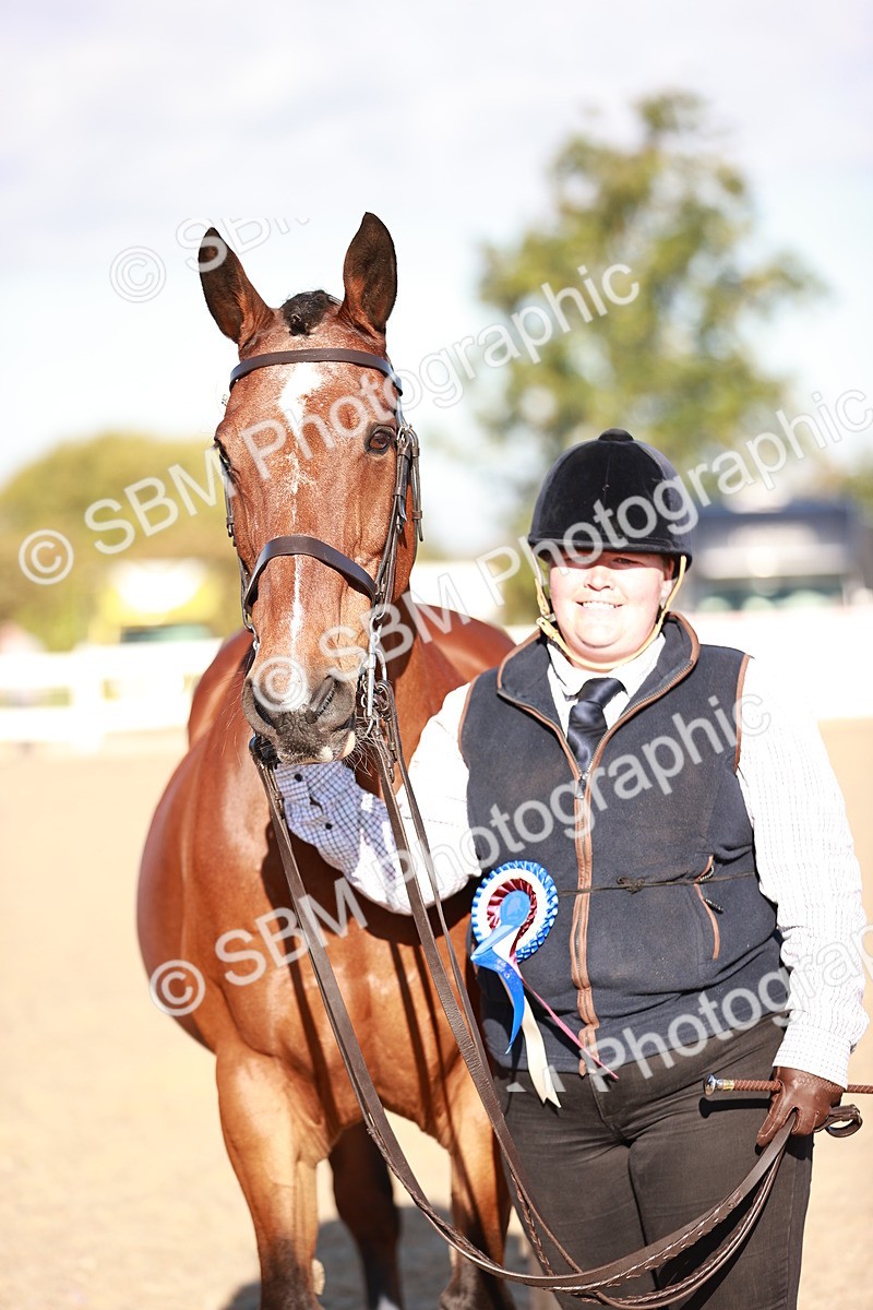 SBM_11225 - Class 401 - IH  Veteran horse