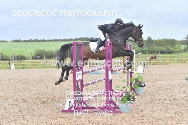 BPP_7981 - CLASS 14 SAT Senior Newcomers/ 1.10m Open