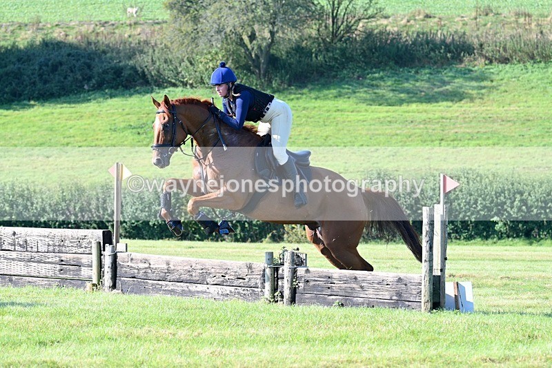 WJ7_5355 - Edited Examples