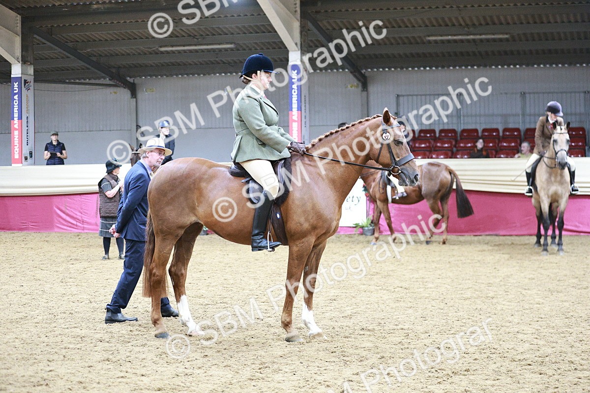 SBM_03386 - Class 6A Area Ridden Pre-Vet