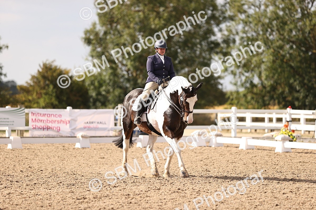 SBM_08085 - Class 39 Medium 3