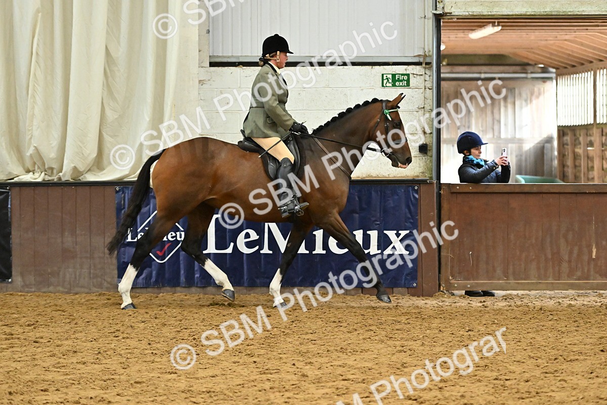 SBM_001981 - Class 24 - BSHA Ridden Racehorse to Show Horse