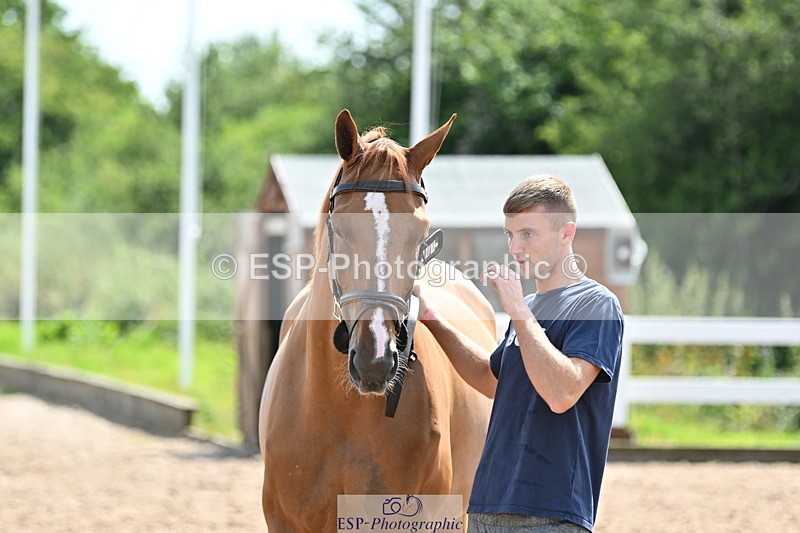 240717A-151222-02640 - Trot Up 3pm to 4pm
