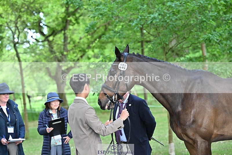 250521A-170136-01477 - C-280-Ryo.Murata-BROOKPARK.VIKENTI