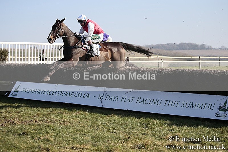 PtP 240218 253 - Vine & Craven Hunt Point-to-Point Barbury racecourse 24/02/18