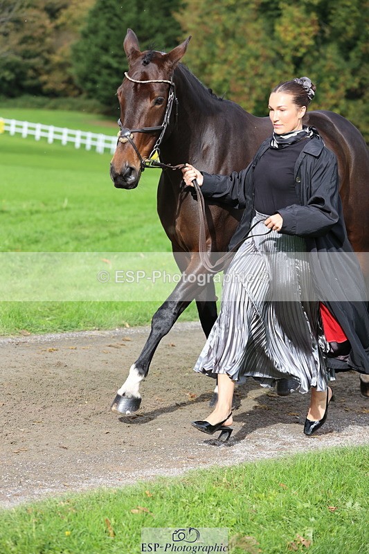 251026A-121215-25954 - G-562-Phoebe.Lagor