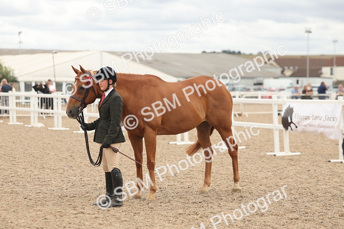 SBM_17102 - Class 313 - IH Retired Racehorse