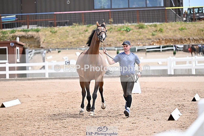 250716-132325-00475 - Trot Up 12.30 to 1.30