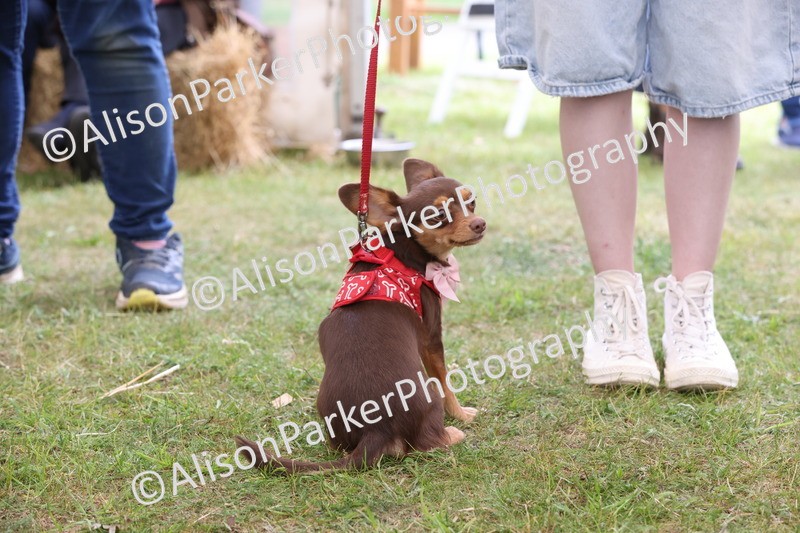 20250607-0112 - Class 2 - Gorgeous Girl