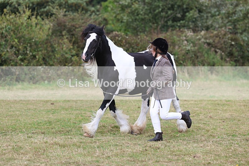 3E7A5389 - Class 19: Best Coloured in Hand