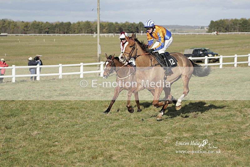 PtP 260223 1235 - South & West Wilts Point-to-Point Larkhill 26/02/23