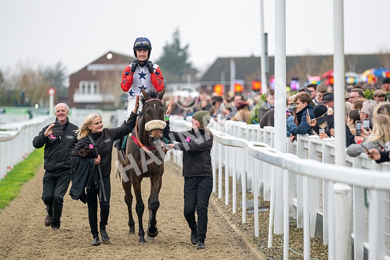 151125-Race 2-Hung Jury-0776 - Race 2