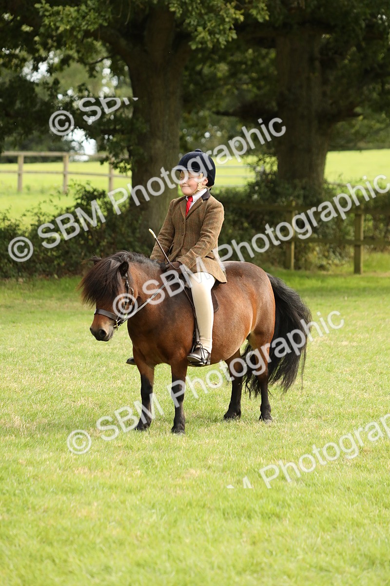 SBM_71518 - S41 - Ridden Equitation (Best Rider)