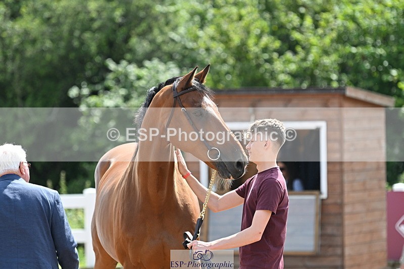 240717A-150235-02473 - Trot Up 3pm to 4pm