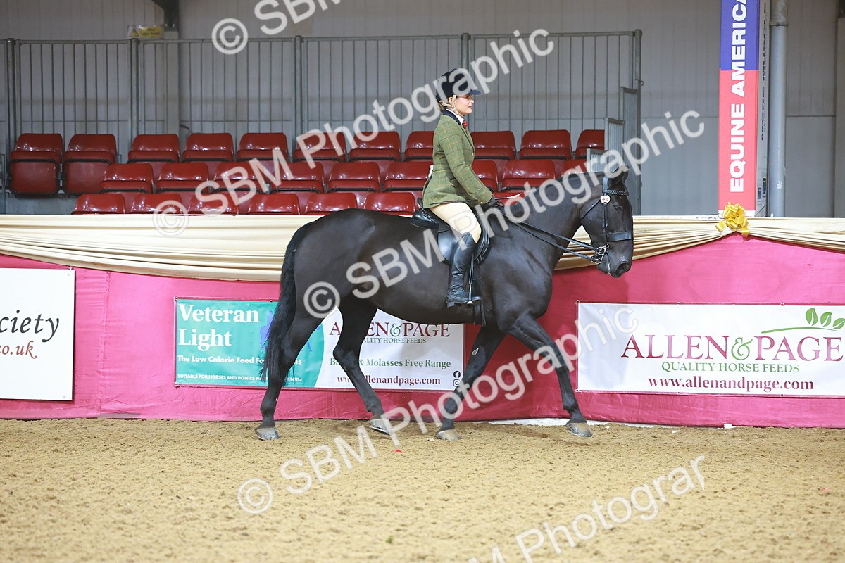 SBM_07588 - Class 101 - HOYS Veteran Qualifier - Ridden Diamond