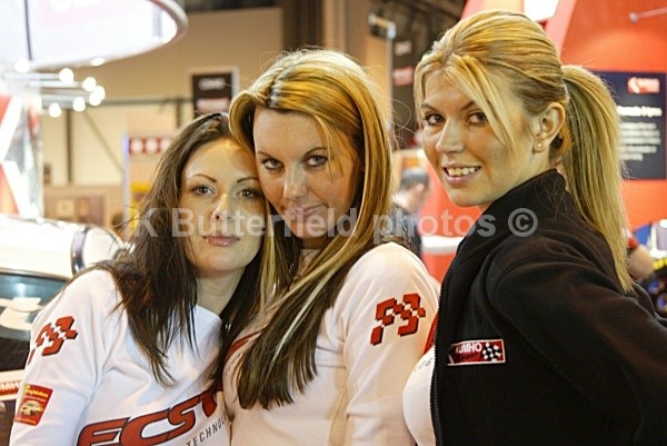  - Birmingham motor show
