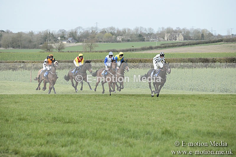 PtP 230319 237 - VWH Hunt Siddington Point-to-Point Racing 23/03/19