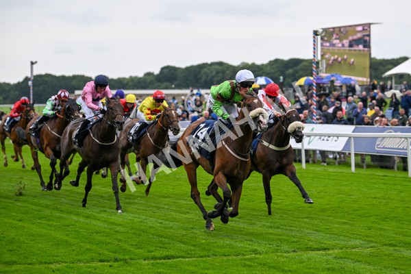 120724-Race 1-Tolstoy-5611 - Race 1 2.05pm William Hill Extra Place Races Daily Handicap