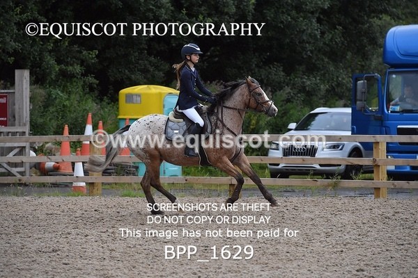 BPP_1629 - DERBY CLASS 4 - 50CM