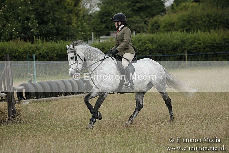 B230619-0135 - Bourne Valley Riding Club Summer Show 23/06/19