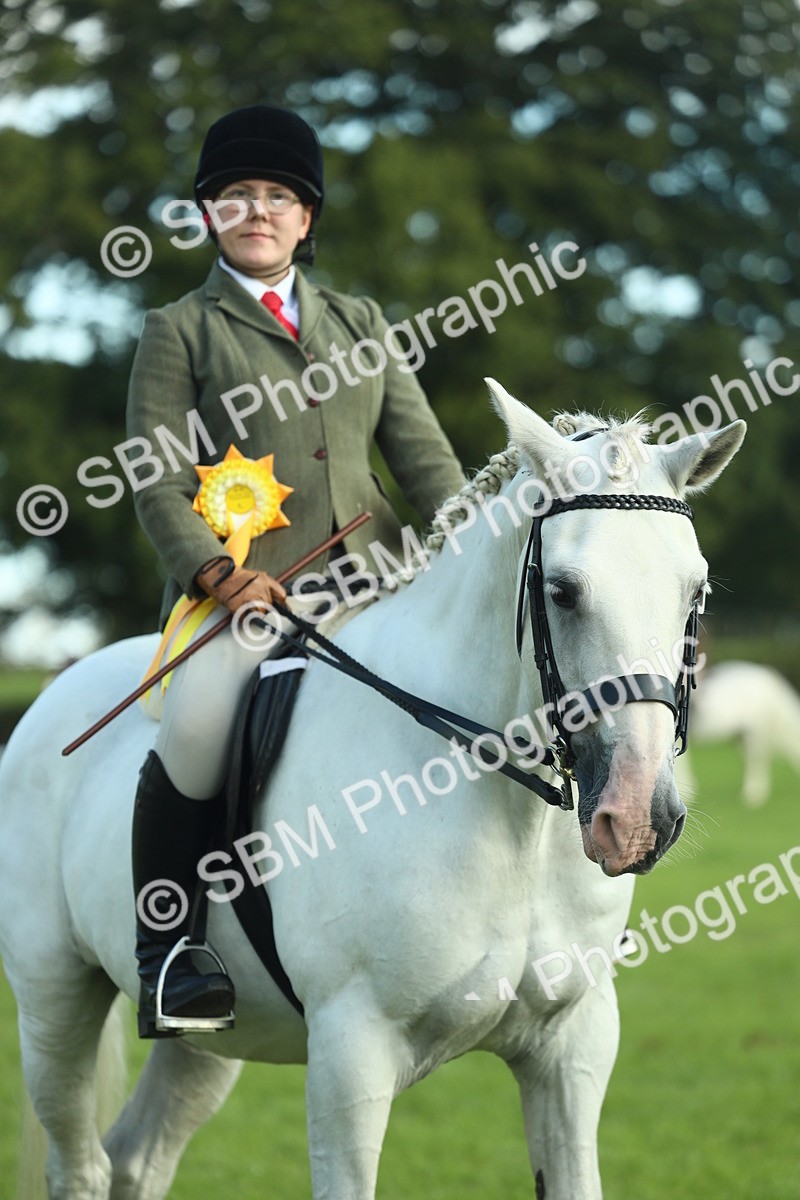 SBM_49942 - S32 - Novice & Newcomers Working Hunter