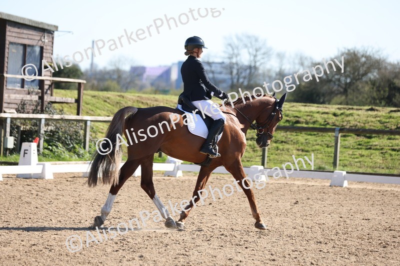 20260318-0648 - Class 6 - Novice 3