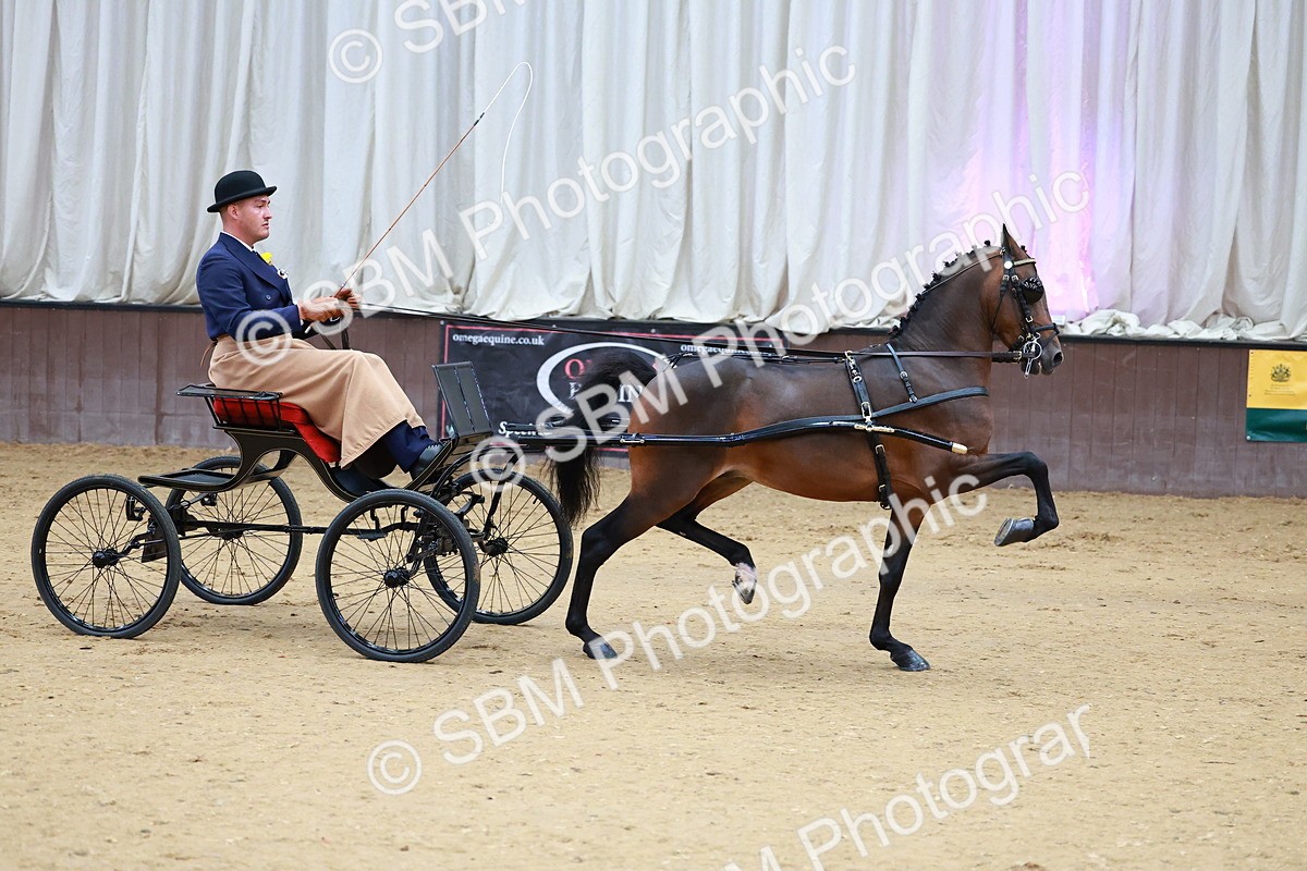 SBM_000614 - Class 9 - HHS Championship Intl Hackney Pony to a Showwagon