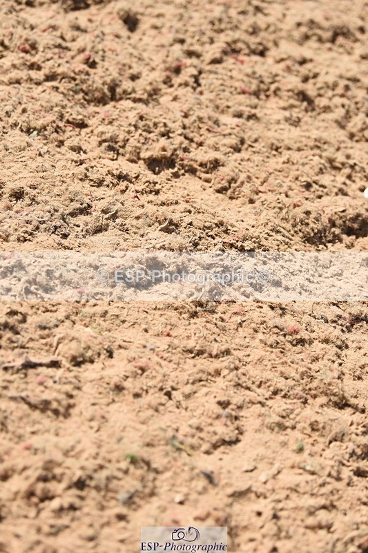 230906A-134032-00479 - Foxhunter & 1.20m Open